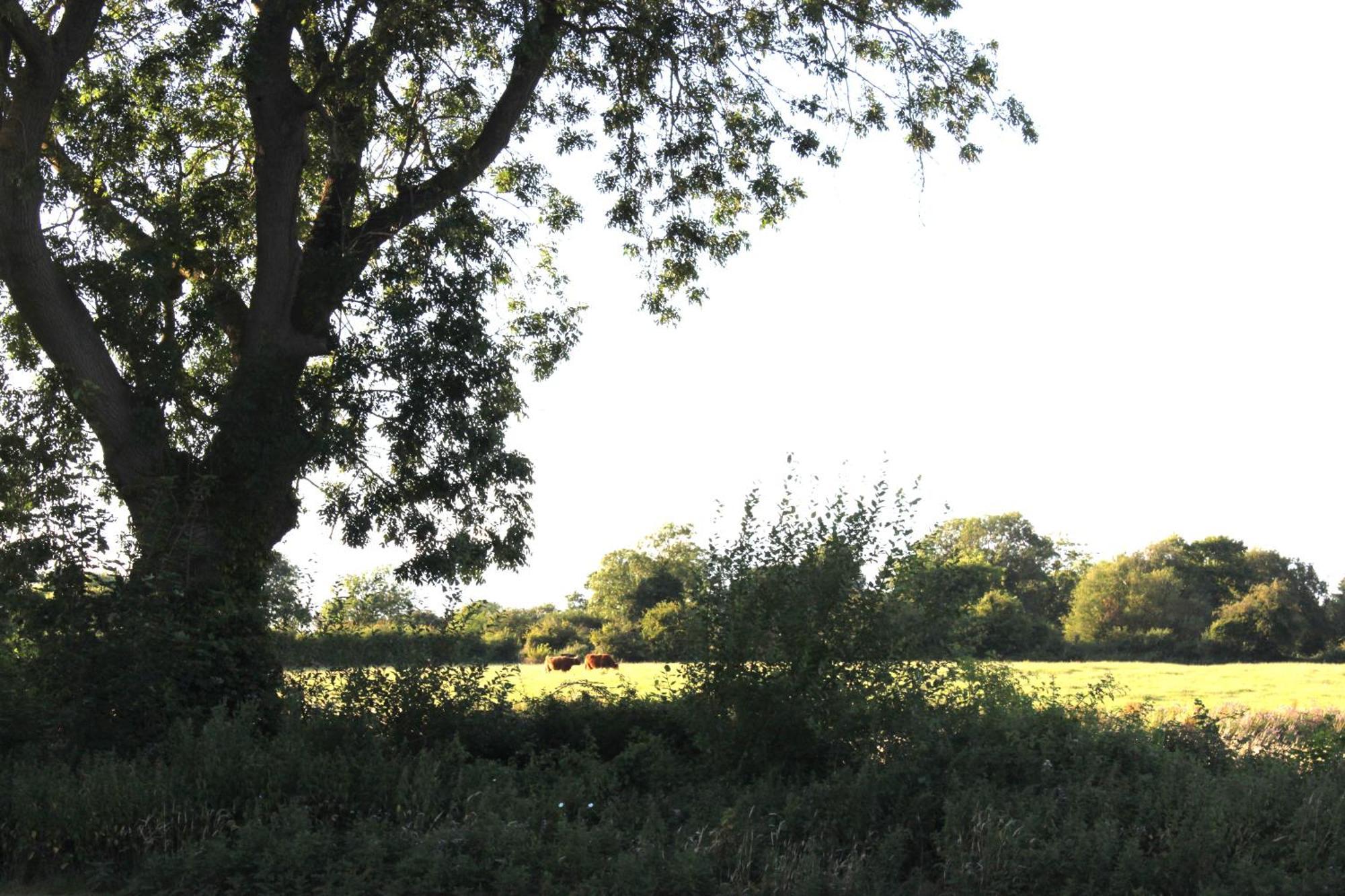 The Willowford Milton Keynes Dış mekan fotoğraf